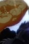 Nonton film My Hero Academia Season 8 Episode 1 terbaru di Dutamovie21