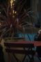 Nonton film Nobody Wants This Season 2 Episode 8 terbaru di Dutamovie21 Nonton film Nobody Wants This Season 2 Episode 8 terbaru di Dutamovie21