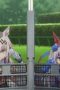 Nonton film Umamusume: Cinderella Gray Season 2 Episode 8 terbaru di Dutamovie21 Nonton film Umamusume: Cinderella Gray Season 2 Episode 8 terbaru di Dutamovie21