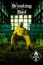 Nonton film Breaking Bad Season 5 (2012) terbaru di Dutamovie21