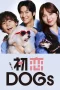 Nonton film Hatsukoi Dogs (2025) terbaru di Dutamovie21 Nonton film Hatsukoi Dogs (2025) terbaru di Dutamovie21
