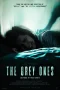 Nonton film The Grey Ones (2025) terbaru di Dutamovie21
