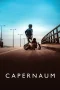 Nonton film Capernaum (2018) terbaru di Dutamovie21 Nonton film Capernaum (2018) terbaru di Dutamovie21