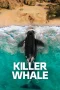 Nonton film Killer Whale (2026) terbaru di Dutamovie21 Nonton film Killer Whale (2026) terbaru di Dutamovie21
