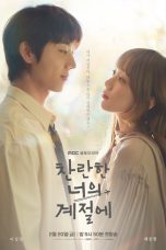 Nonton film In Your Radiant Season (2026) terbaru di Dutamovie21