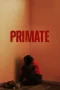 Nonton film Primate (2026) terbaru di Dutamovie21 Nonton film Primate (2026) terbaru di Dutamovie21
