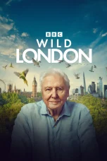 Nonton film Wild London (2026) terbaru di Dutamovie21