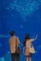Nonton film Gimbap and Onigiri Season 1 Episode 2 terbaru di Dutamovie21 Nonton film Gimbap and Onigiri Season 1 Episode 2 terbaru di Dutamovie21