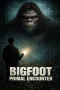 Nonton film Bigfoot Primal Encounter (2025) terbaru di Dutamovie21 Nonton film Bigfoot Primal Encounter (2025) terbaru di Dutamovie21