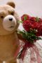 Nonton film ted Season 2 Episode 2 terbaru di Dutamovie21