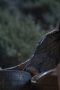 Nonton film Dark Winds Season 4 Episode 8 terbaru di Dutamovie21