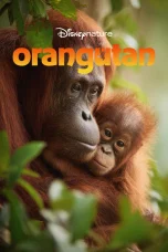 Nonton film Orangutan (2026) terbaru di Dutamovie21 Nonton film Orangutan (2026) terbaru di Dutamovie21