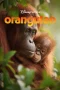 Nonton film Orangutan (2026) terbaru di Dutamovie21 Nonton film Orangutan (2026) terbaru di Dutamovie21