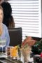 Nonton film Grey’s Anatomy Season 22 Episode 17 terbaru di Dutamovie21 Nonton film Grey’s Anatomy Season 22 Episode 17 terbaru di Dutamovie21
