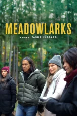 Nonton film Meadowlarks (2025) terbaru di Dutamovie21
