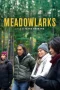 Nonton film Meadowlarks (2025) terbaru di Dutamovie21