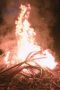 Nonton film Outlast: The Jungle Season 1 Episode 6 terbaru di Dutamovie21