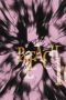Nonton film Bleach Season 1 Episode 161 terbaru di Dutamovie21