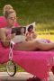 Nonton film Elle Season 1 Episode 1 terbaru di Dutamovie21 Nonton film Elle Season 1 Episode 1 terbaru di Dutamovie21