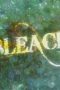 Nonton film Bleach Season 1 Episode 335 terbaru di Dutamovie21 Nonton film Bleach Season 1 Episode 335 terbaru di Dutamovie21
