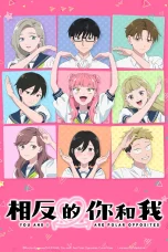 Nonton film Seihantai na Kimi to Boku Season 2 (2026) terbaru di Dutamovie21