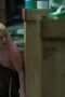Nonton film Lucky Season 1 Episode 2 terbaru di Dutamovie21