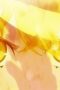 Nonton film Magical Girl Lyrical NANOHA EXCEEDS Gun Blaze Vengeance Season 1 Episode 7 terbaru di Dutamovie21