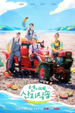Nonton film Fresh off the Sea Season 3 (2026) terbaru di Dutamovie21