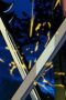 Nonton film X-Men ’97 Season 2 Episode 7 terbaru di Dutamovie21