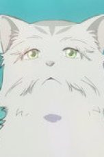 Nonton film The Cat and the Dragon Season 1 Episode 11 terbaru di Dutamovie21